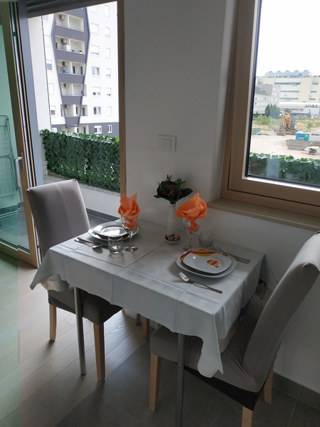 Apartamenty Ilica - Petrova - Cankareva-Gradiscanska- barun Filipovic-Lauba Zagreb