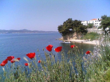 Vacation rentals in Dalmatia