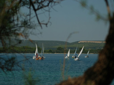 Ferienwohnungen Insel Pasman