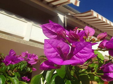 Vacation rentals in Kvarner