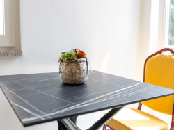 Apartments Štokić Barbat (Island Rab)