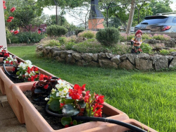 Apartamenty Myrta Krk (Wyspa Krk)