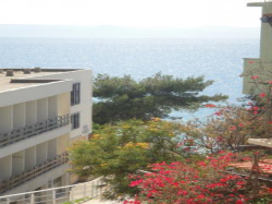 Apartamenty Apartmani Ivanka Podgora