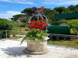 Apartamenty Lori  Poreč