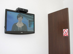 Apartamenty Villa Nil Živogošće