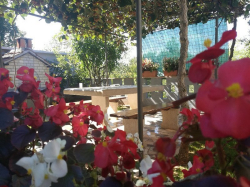 Appartamenti M&M Zminj